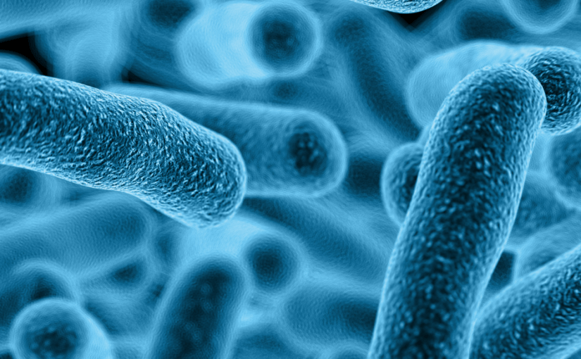 Legionella voorkomen in boilersystemen